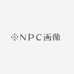 同行NPC